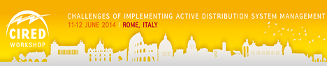 logo cired workshop 2014 2